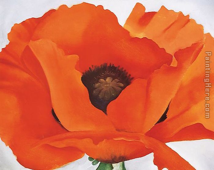 Red Poppy painting - Georgia O'Keeffe Red Poppy art painting